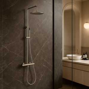 Satin Finish 316L Stainless Steel Wall-Mounted Shower with Hot e Cold Water