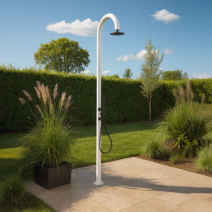 White aluminum shower with handheld dual inlet and antiscale filters